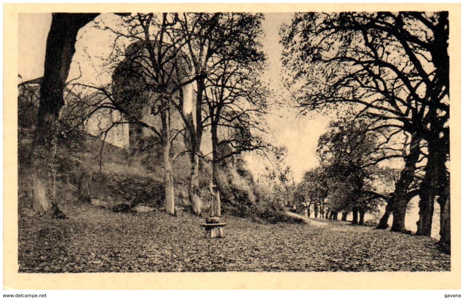 21 Chateau De MONT-SAINT-JEAN Et Ses Arbres Centenaires - Autres & Non Classés