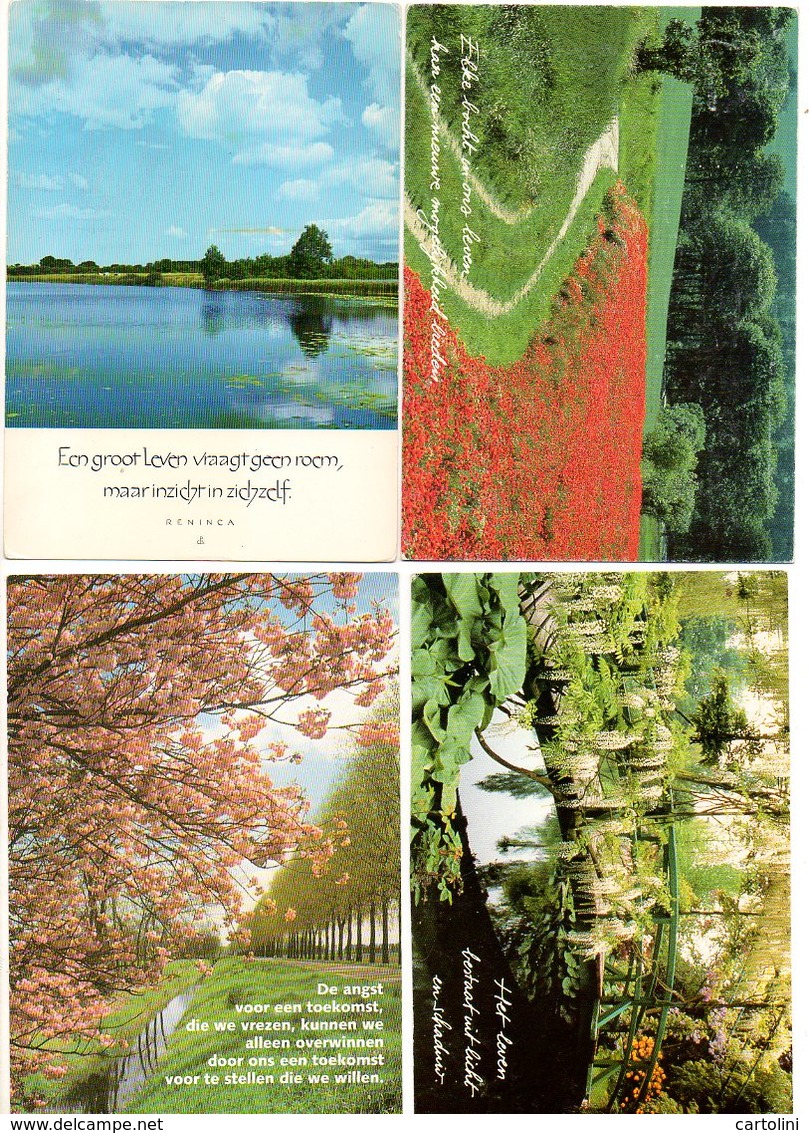 Bomen Landschap Landscape Paysage  Poezie Zegswijze 4 Stuks/pcs - Arbres