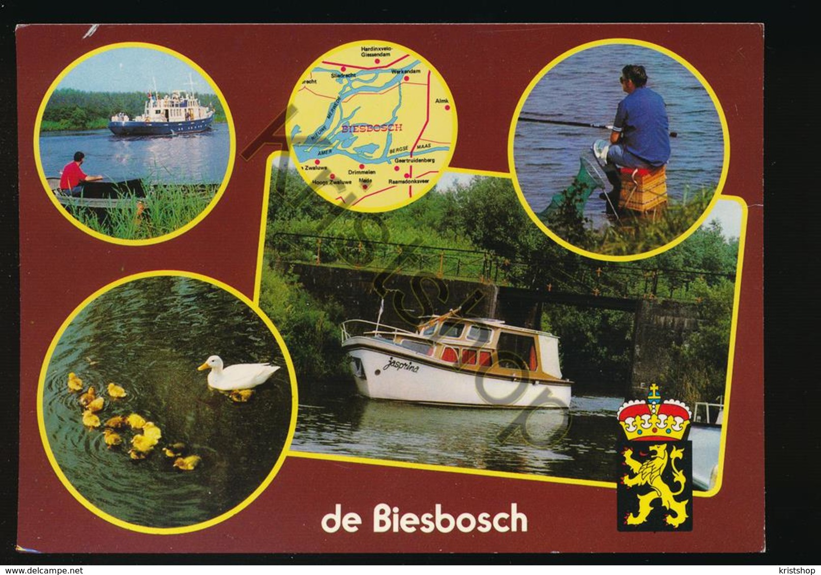 De Biesbosch [AA42-4.064 - Autres & Non Classés