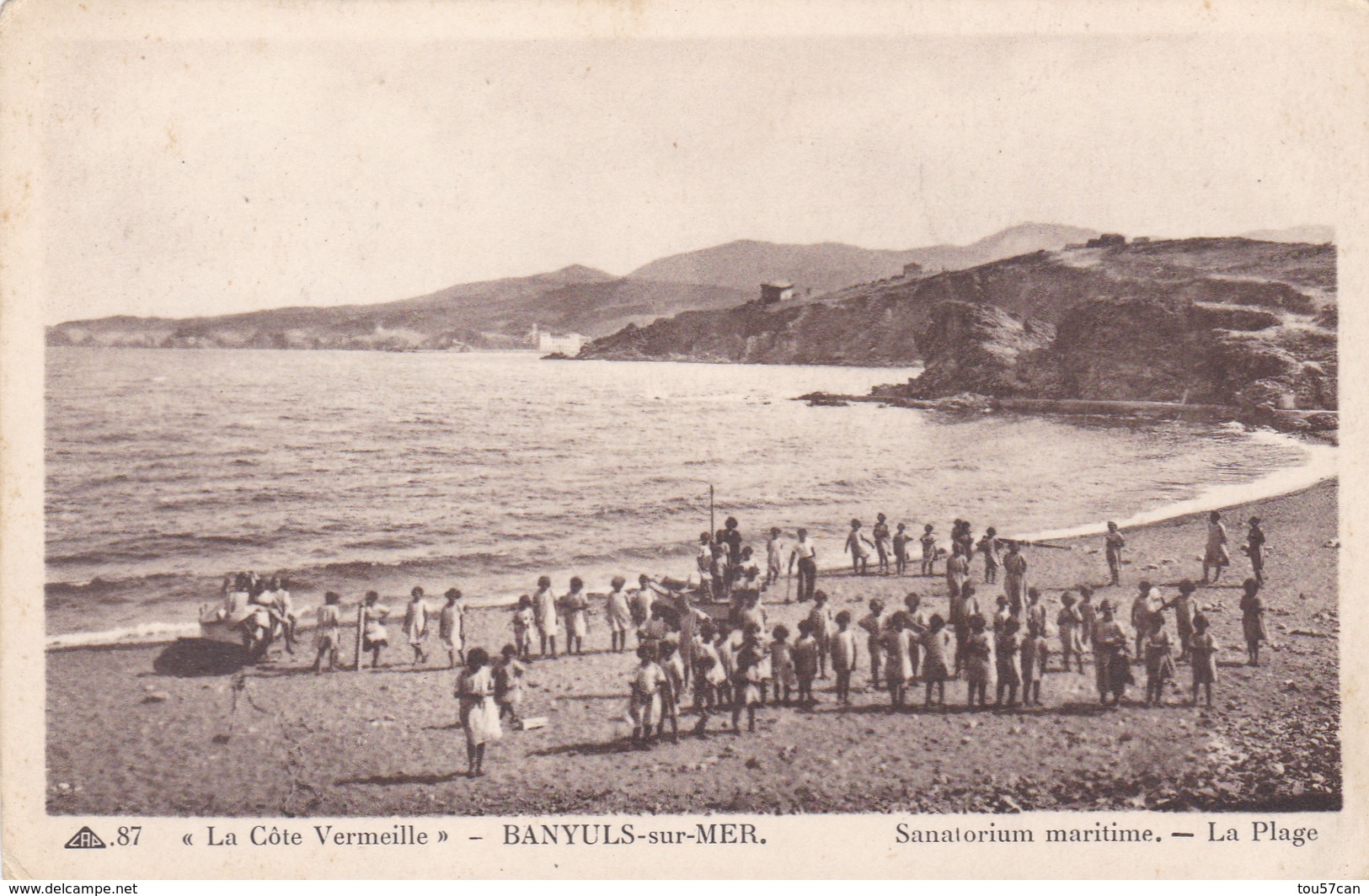 BANYULS SUR MER - PYRÉNÉES-ORIENTALES  -  (66) -  RARE CPA..ANIMÉE. - Banyuls Sur Mer