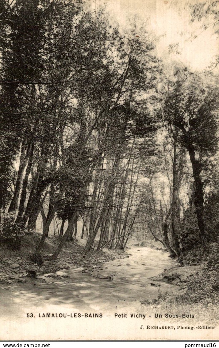 CPA Lamalou-les-Bains Petit Vichy Un Sous-bois - Lamalou Les Bains