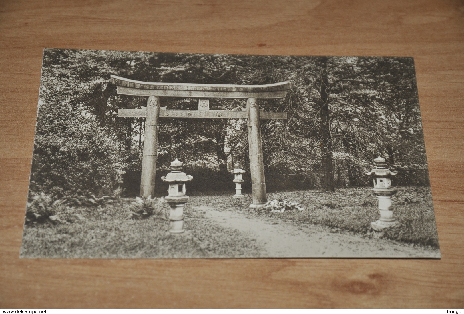 9175-     ROYAUME DE BELGIQUE, PARC DE MARIEMONT, LE TORIL JAPONAISE - Morlanwelz