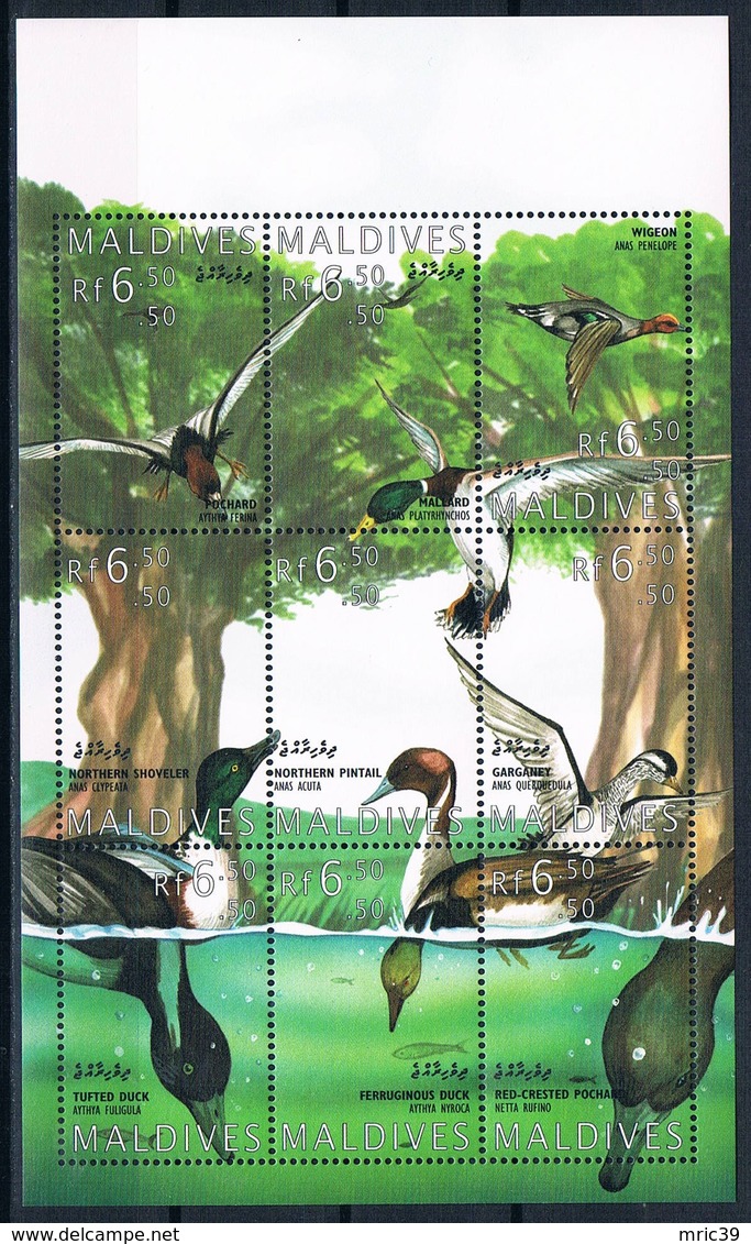 Bloc Sheet Oiseaux Canards Birds Ducks Neuf  MNH ** Maldives 1995 - Canards