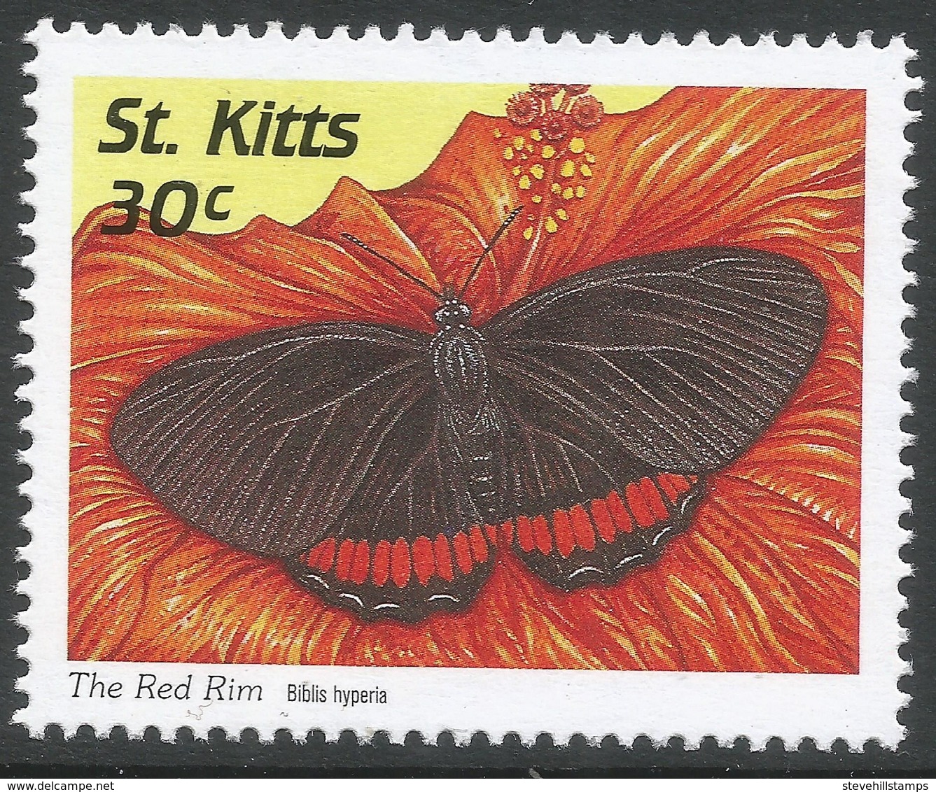 St Kitts. 1997 Butterflies 30c MNH. SG 503 - St.Kitts And Nevis ( 1983-...)