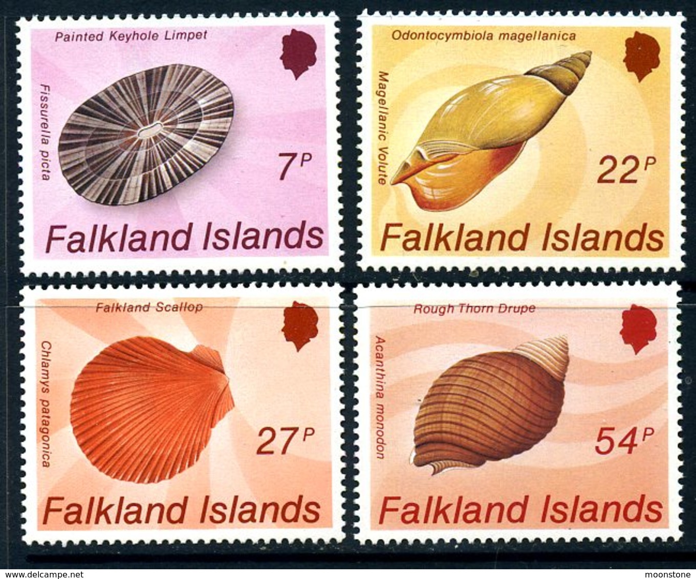 Falkland Islands 1986 Sea Shells Set Of 4, MNH, SG 518/21 - Falkland