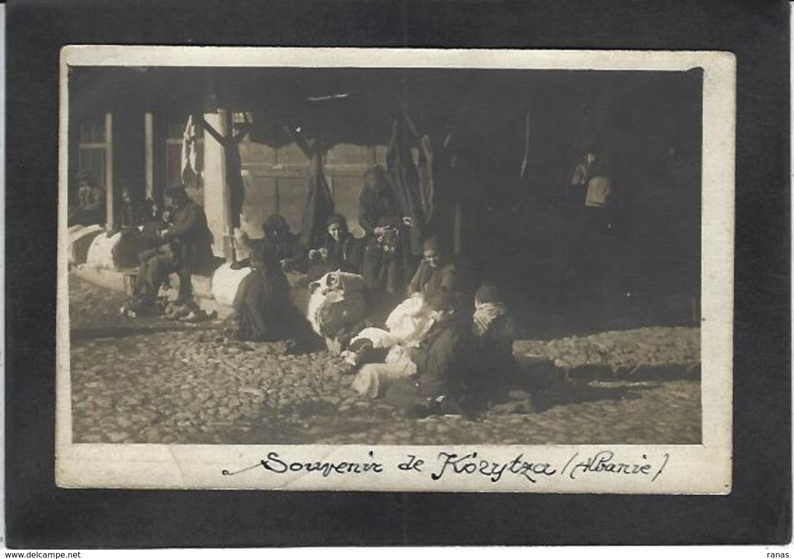 CPA Albanie Albania écrite Carte Photo RPPC Korytza - Albanië