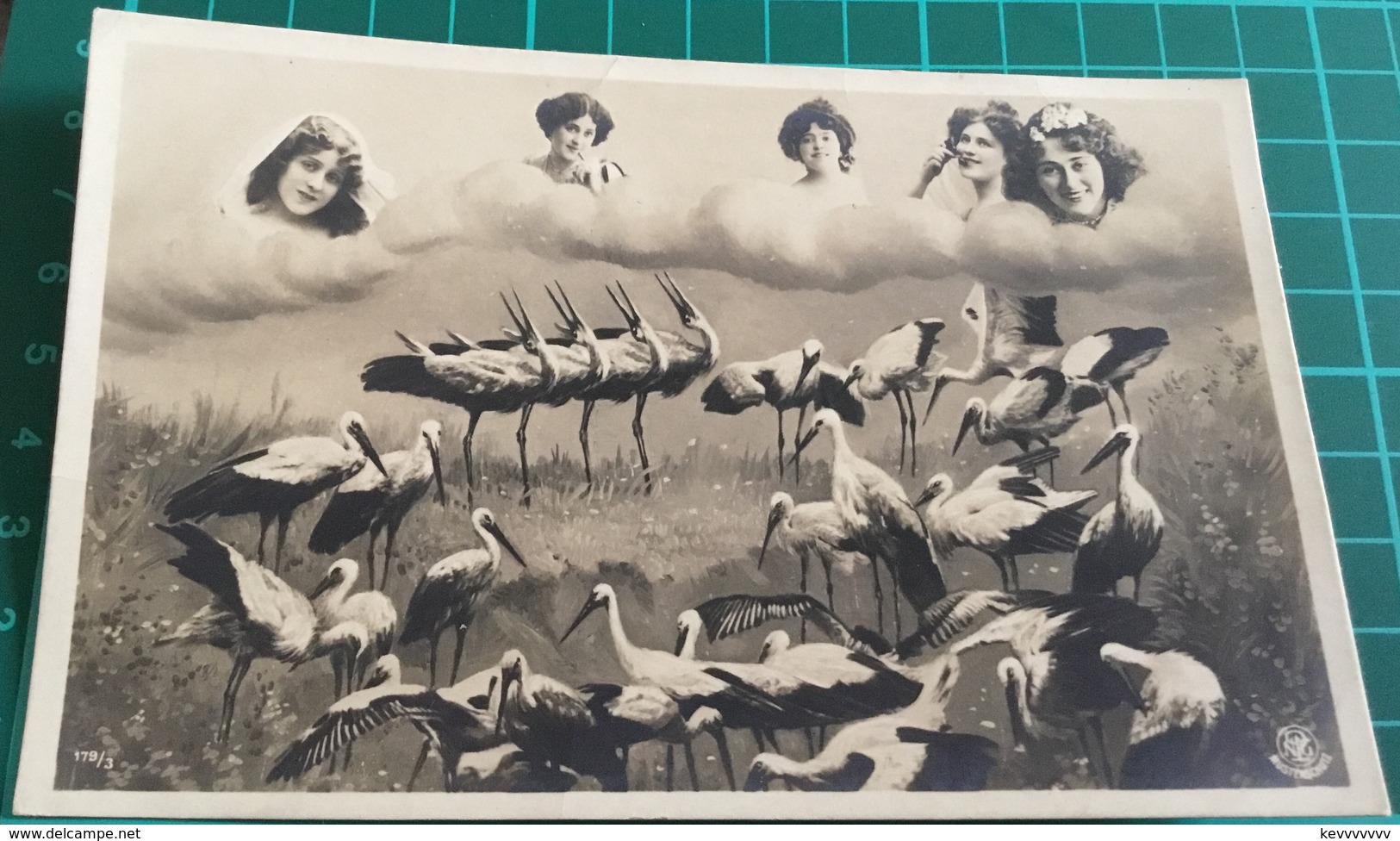 Old Black & White Photo Postcard Of Women In Clouds With Storks - Birds