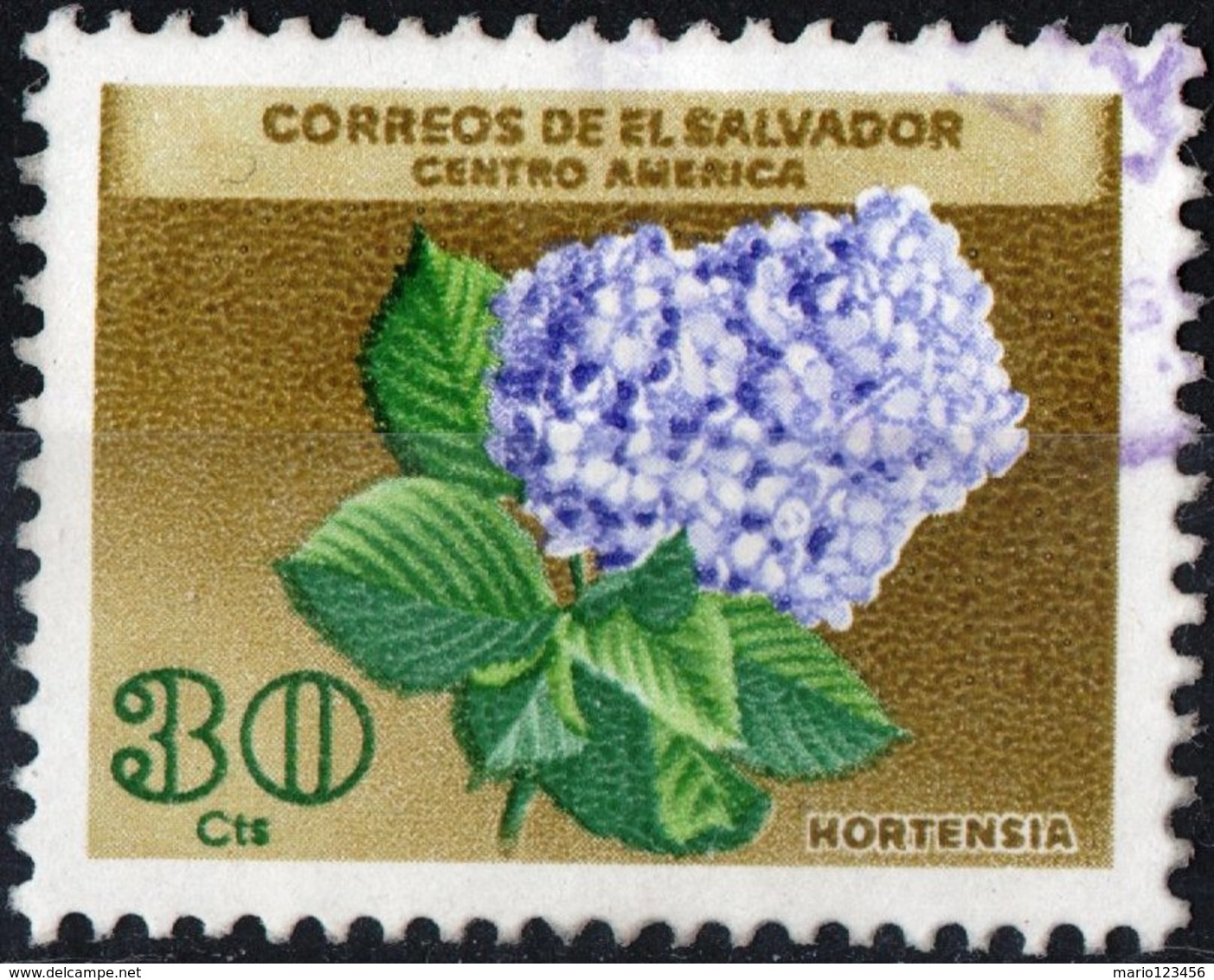 EL SALVADOR, FLORA, FIORI, FLOWERS, HORTENSIA, 1965, 30 C., FRANCOBOLLO USATO Mi. 890,  Scott 754 - El Salvador