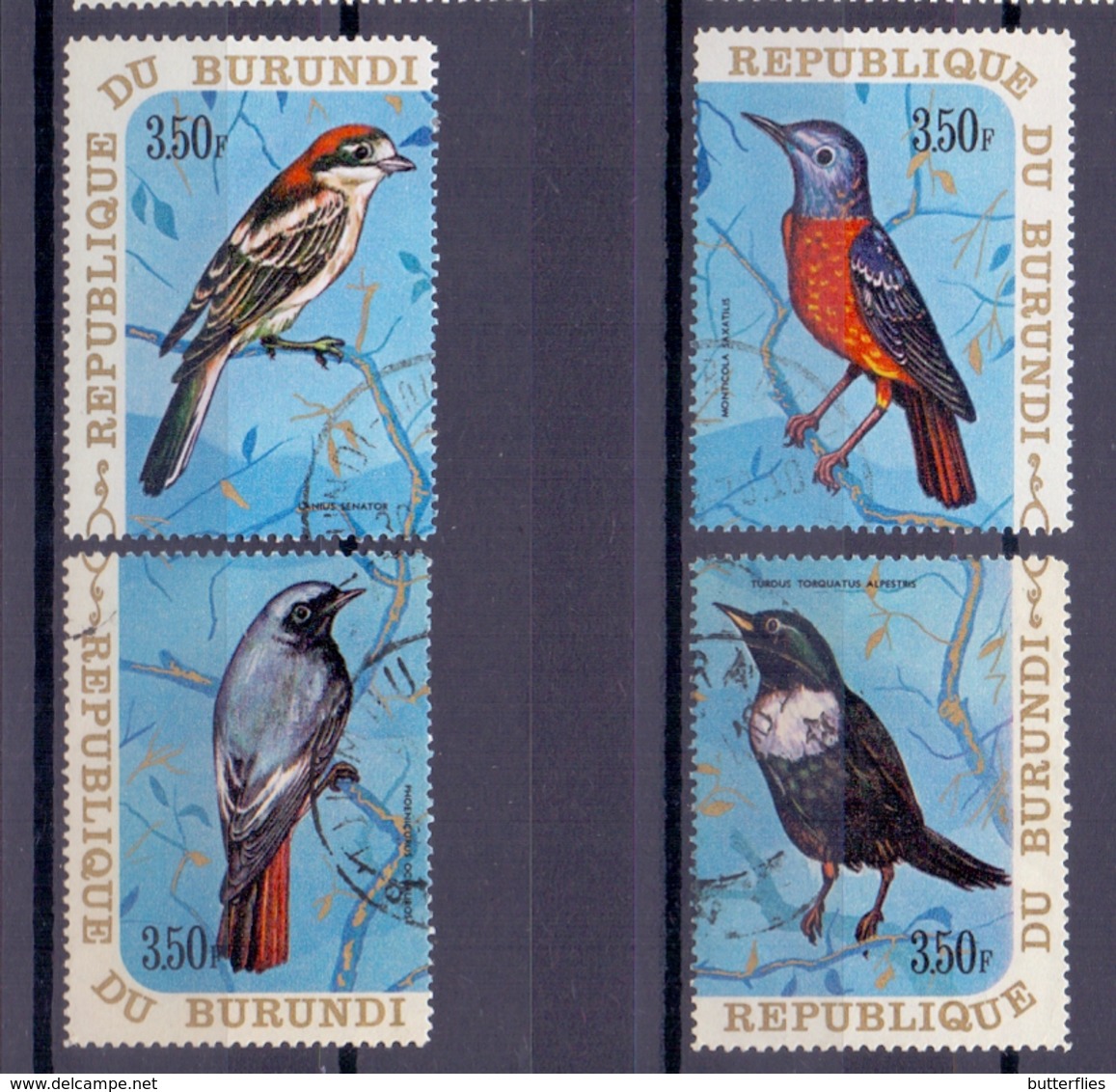 Rep. Du Burundi - Vogels - 3 Scans - Passereaux