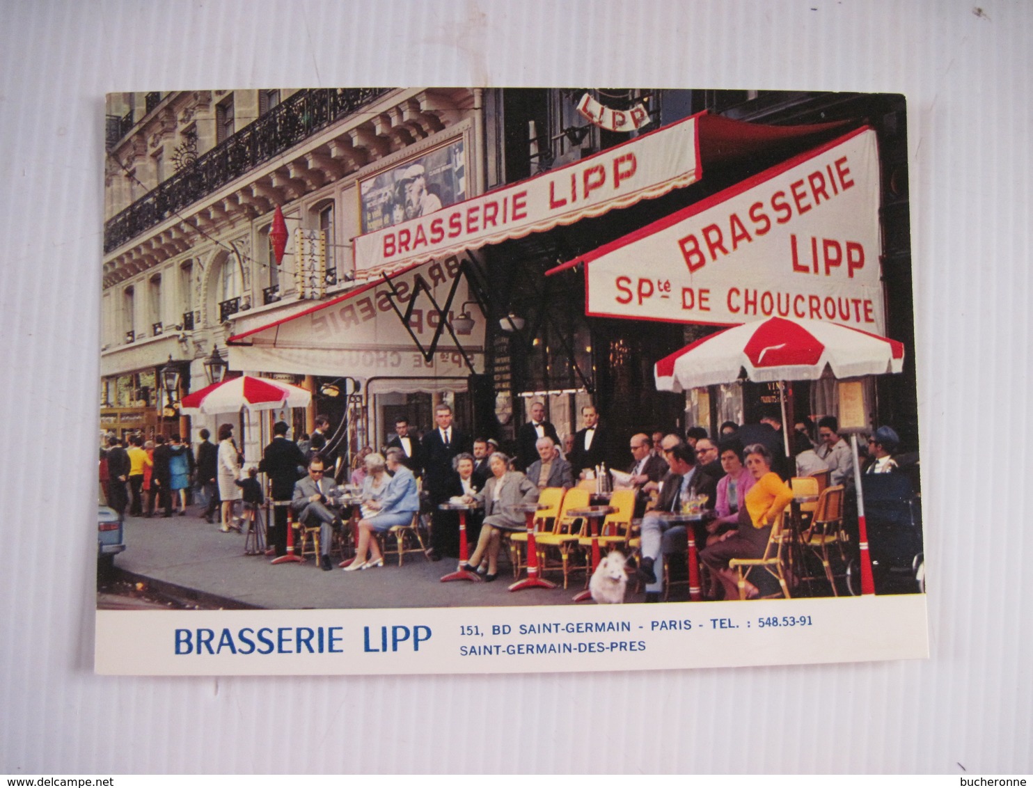 CPA 75 Paris BRASSERIE LIPP Saint-Germain Des Pres 151 Boulevard    TBE - La Seine Et Ses Bords