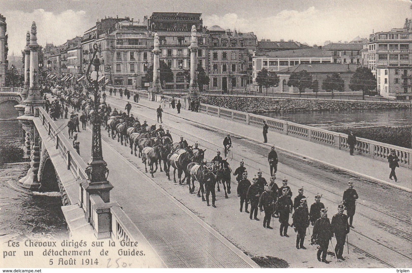 Geneve - Les Chevaux Dirigés Sur La Gare Par Un Détachement De Guides - 5 Août 1914 - Genève