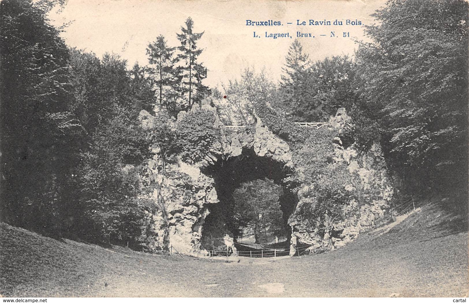 BRUXELLES - Le Ravin Du Bois - Bossen, Parken, Tuinen