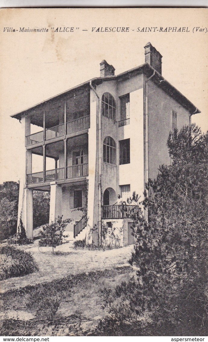 VILLA MAISONNELLE ALICE. VALESCURE SAINT RAPHAEL. CPA CIRCA 1900s - BLEUP - Saint-Raphaël