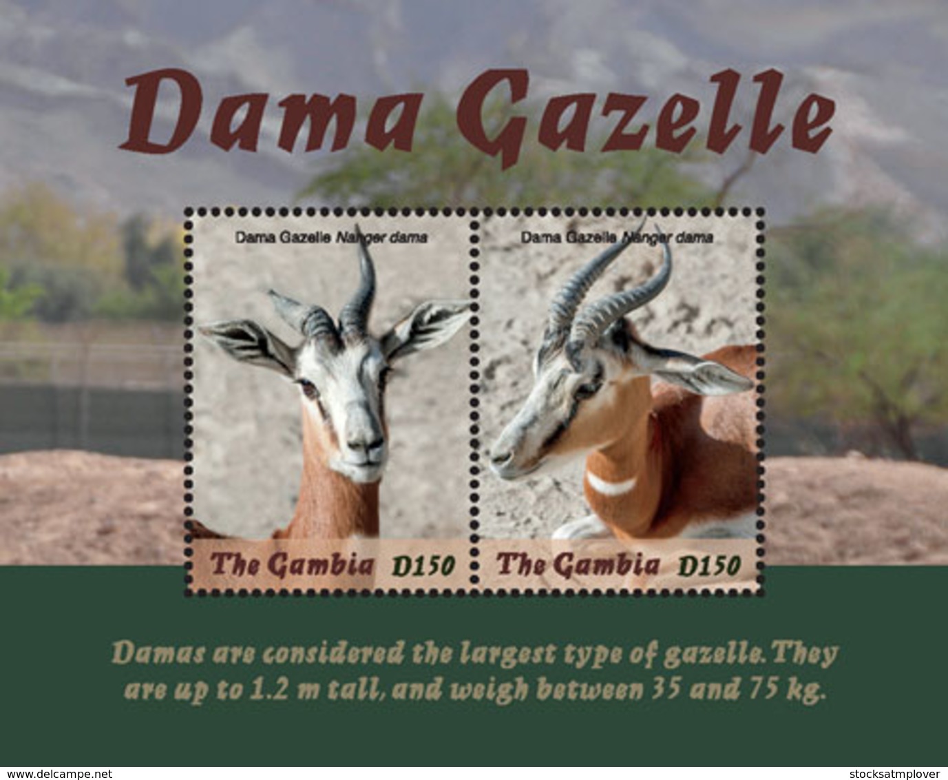 Gambia  2018    Fauna  Dama  Gazelle  I201901 - Gambie (1965-...)