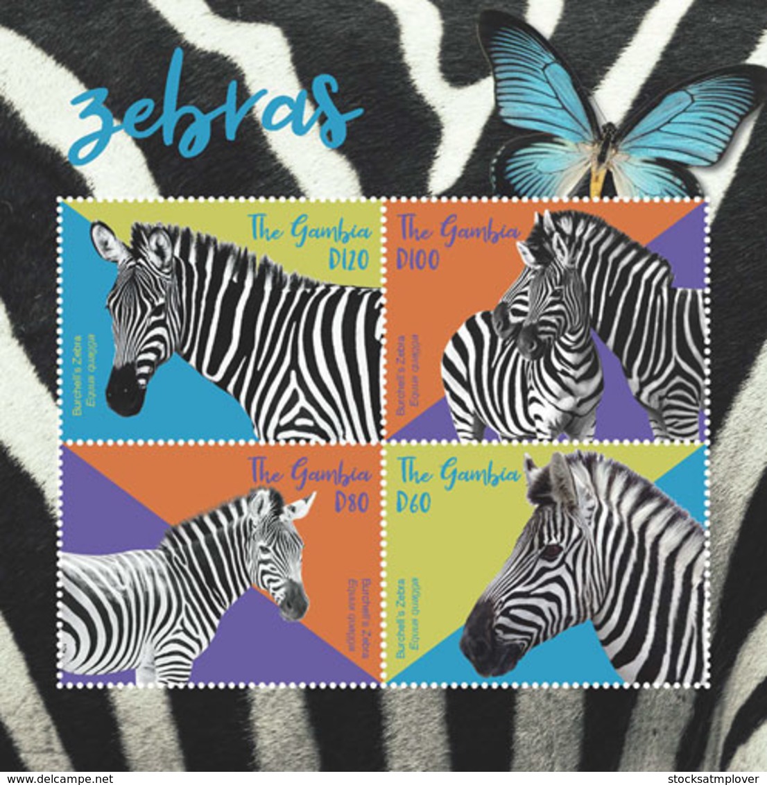 Gambia  2018  Fauna Zebras And Butterflies   I201901 - Gambia (1965-...)