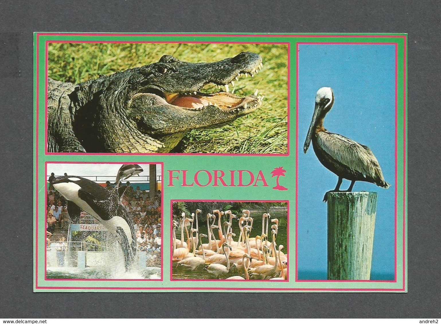 ANIMALS - ANIMAUX - FROM FLORIDA CROCODILE ET OISEAUX ET MARSOUIN - NATURE'S PARADISE - PHOTO BY WERNER J. BERTSCH - Oiseaux