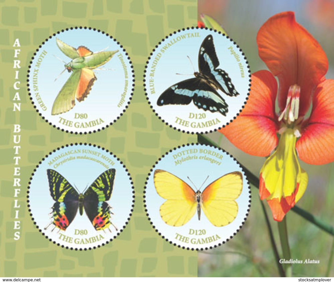 Gambia  2018    Fauna  African Butterflies  I201901 - Gambia (1965-...)