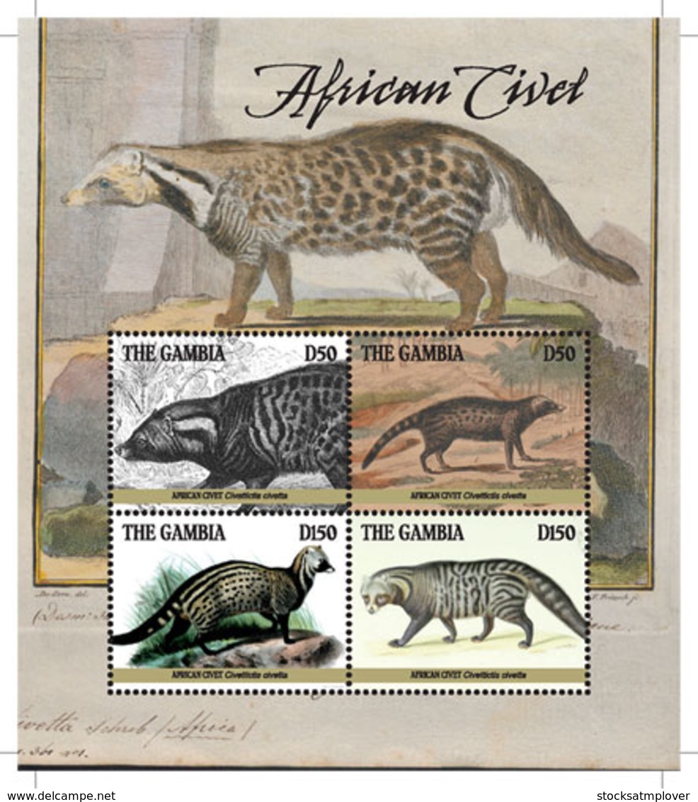 Gambia  2019    Fauna   African Civet   I201901 - Gambia (1965-...)