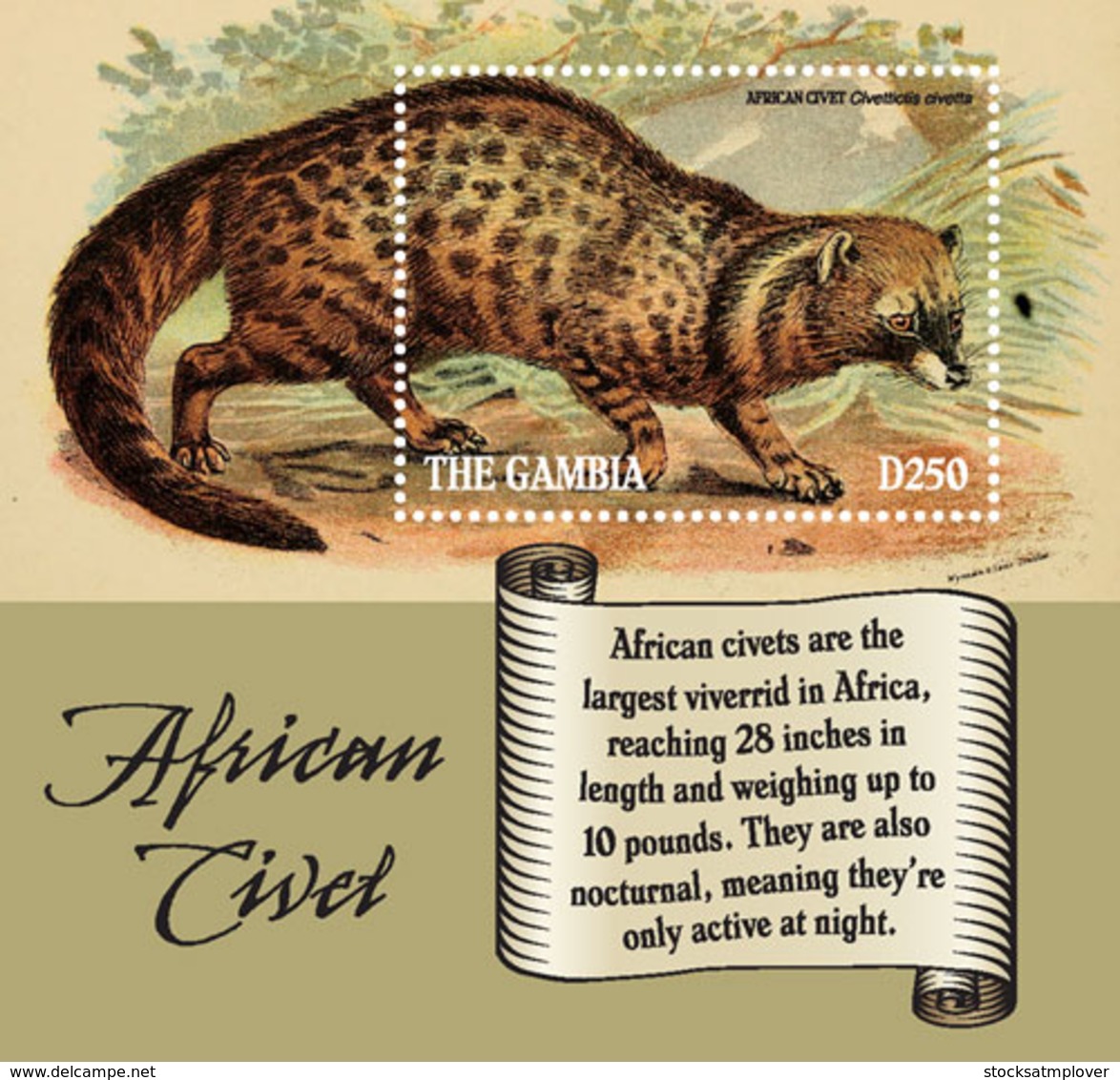 Gambia  2019    Fauna   African Civet   I201901 - Gambia (1965-...)