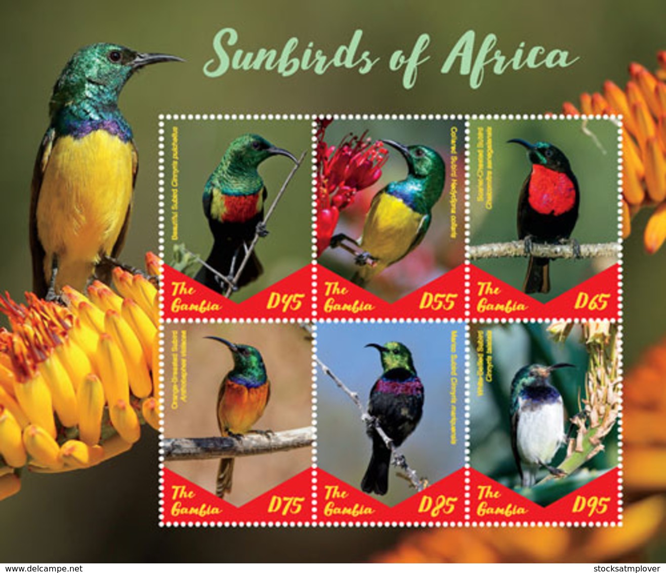 Gambia  2019    Fauna   Sunbirds  Of Africa   I201901 - Gambia (1965-...)