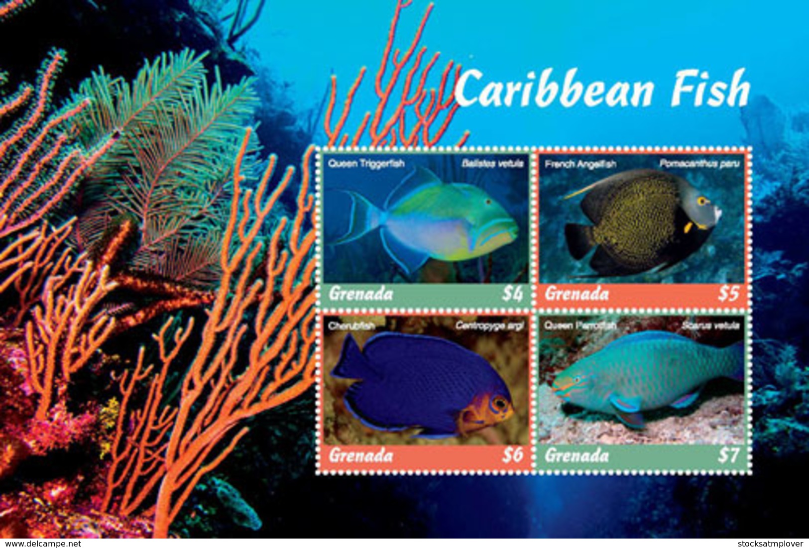 Grenada   2018  Fauna   Caribbean  Fish  I201901 - Grenada (1974-...)