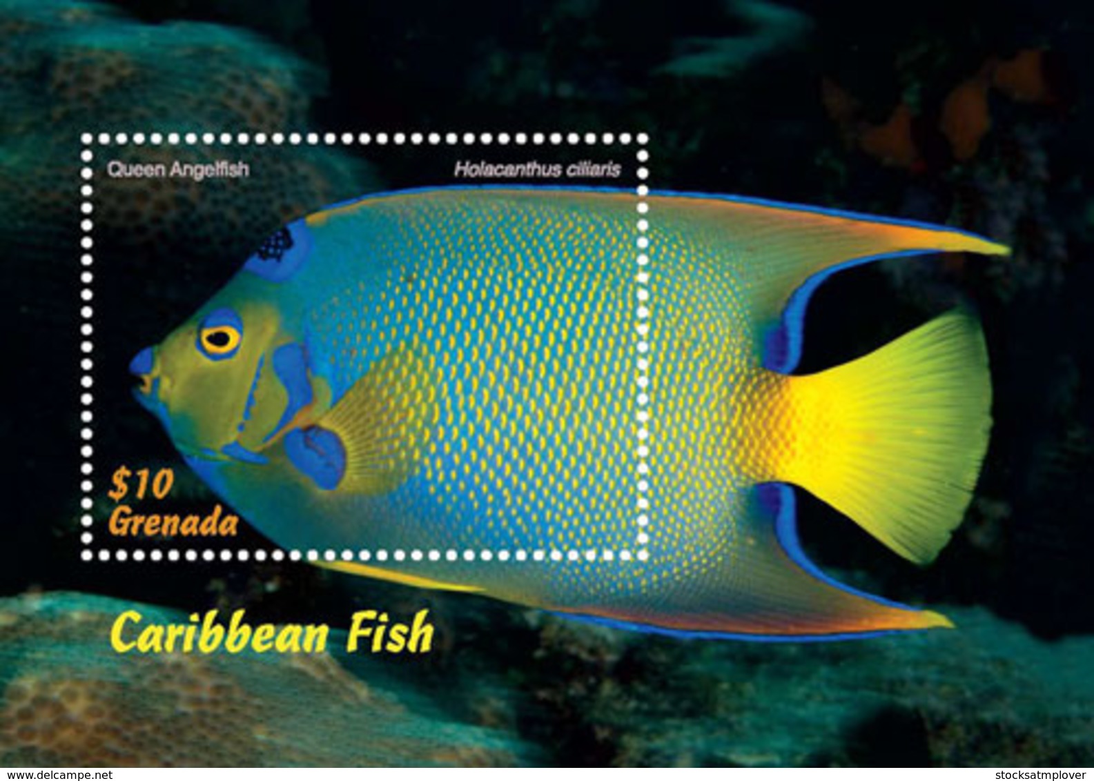 Grenada   2018  Fauna   Caribbean  Fish  I201901 - Grenada (1974-...)