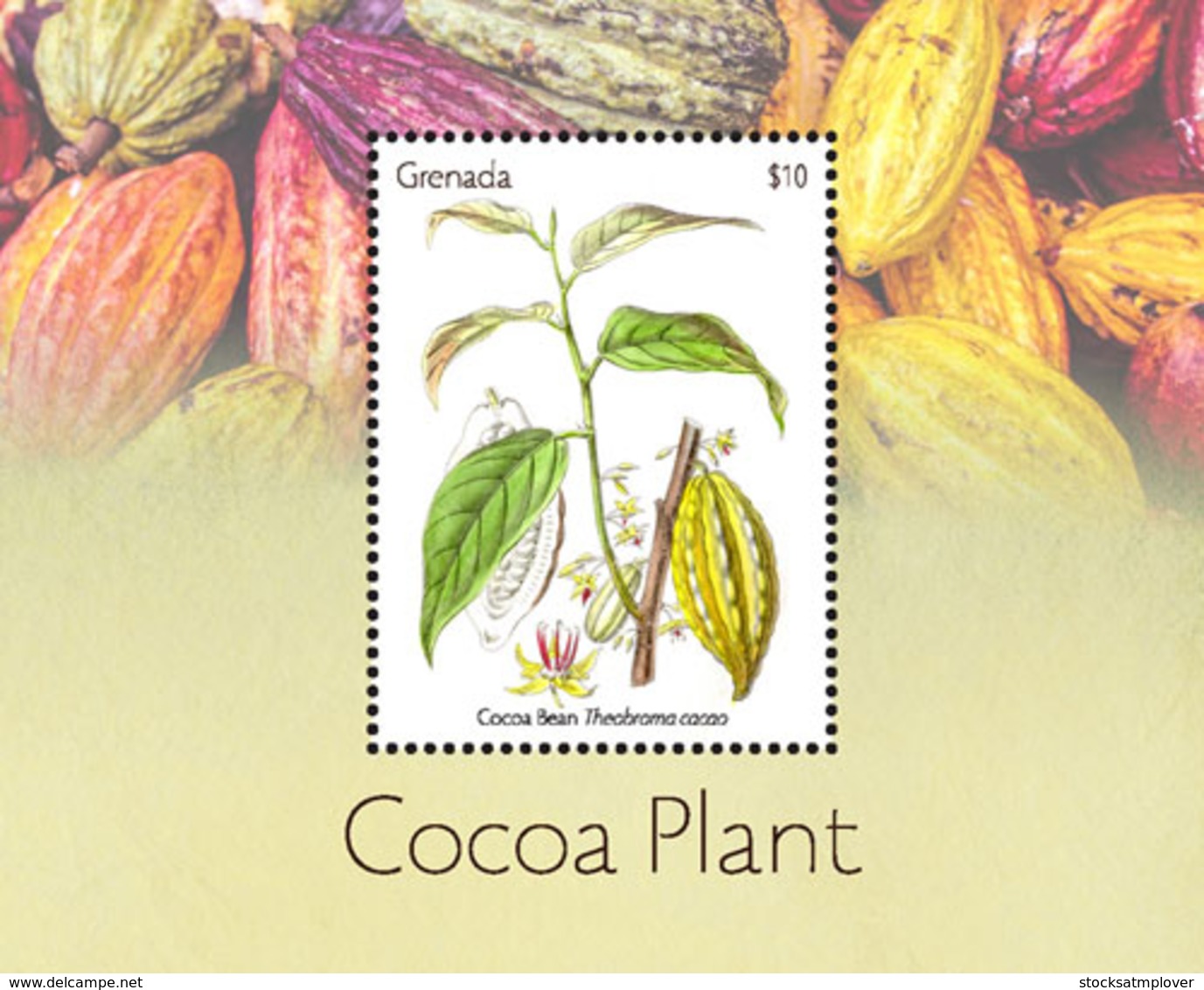 Grenada   2018  Cocoa Plant  I201901 - Grenada (1974-...)