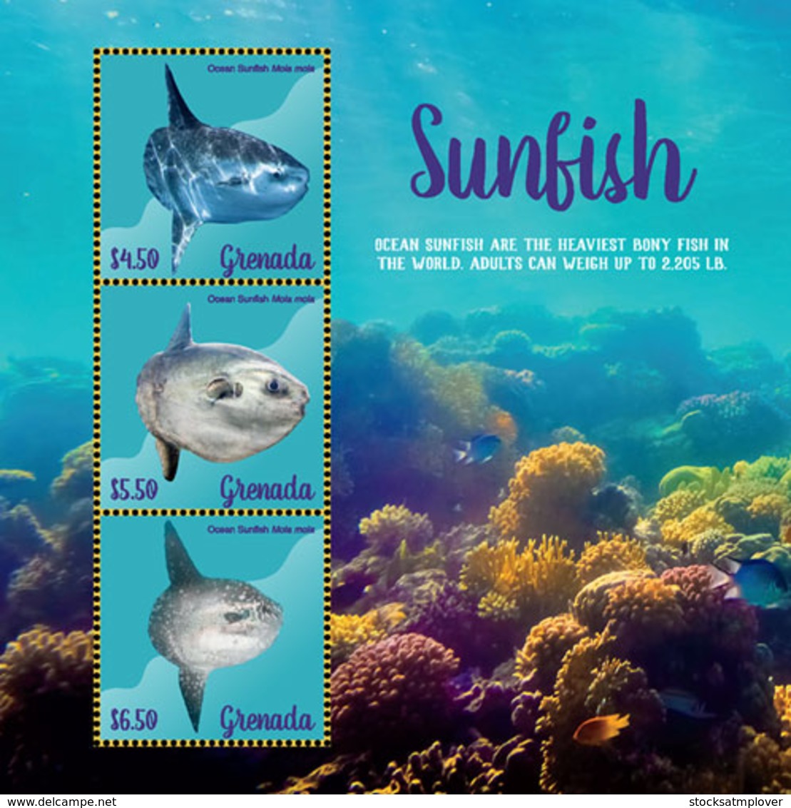 Grenada  2019 Sunfish Fauna  I201901 - Grenada (1974-...)