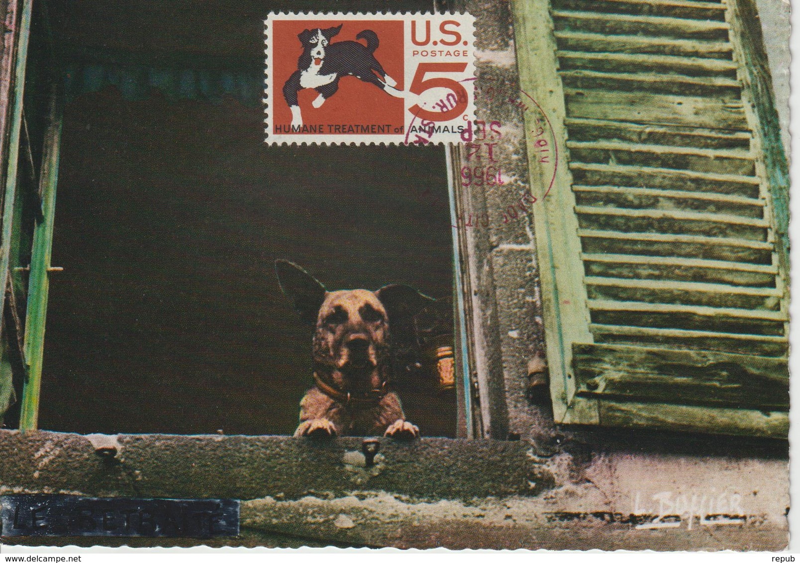 Etats-Unis Carte Maximum Animaux 1966 Chien 802 - Maximumkaarten