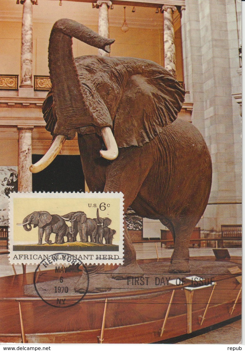 Etats-Unis Carte Maximum Animaux 1970 Eléphants 891 - Cartoline Maximum