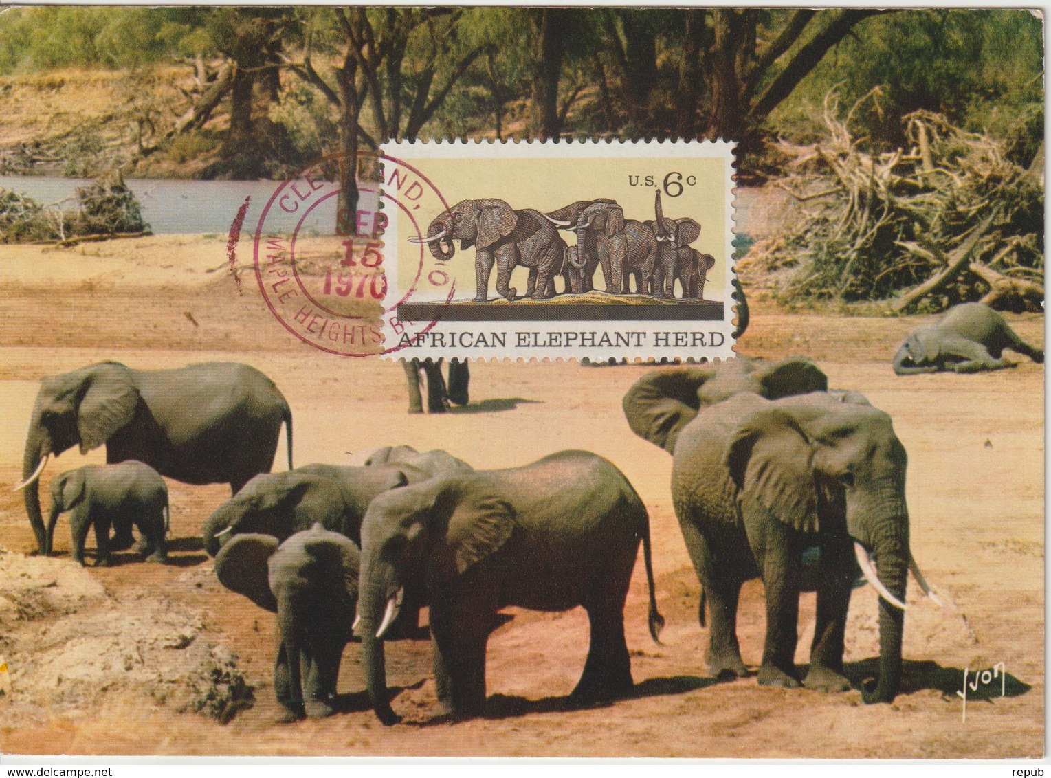 Etats-Unis Carte Maximum Animaux 1970 Eléphants 891 - Cartoline Maximum