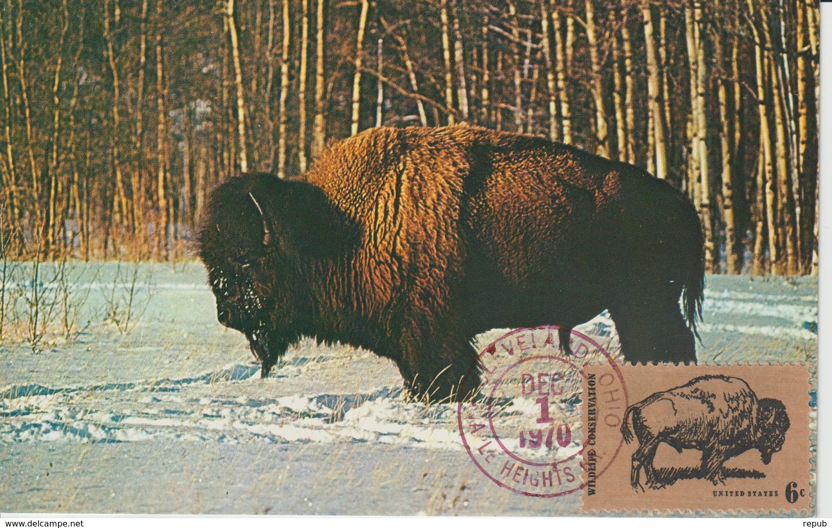 Etats-Unis Carte Maximum Animaux 1970 Bison 895 - Cartoline Maximum