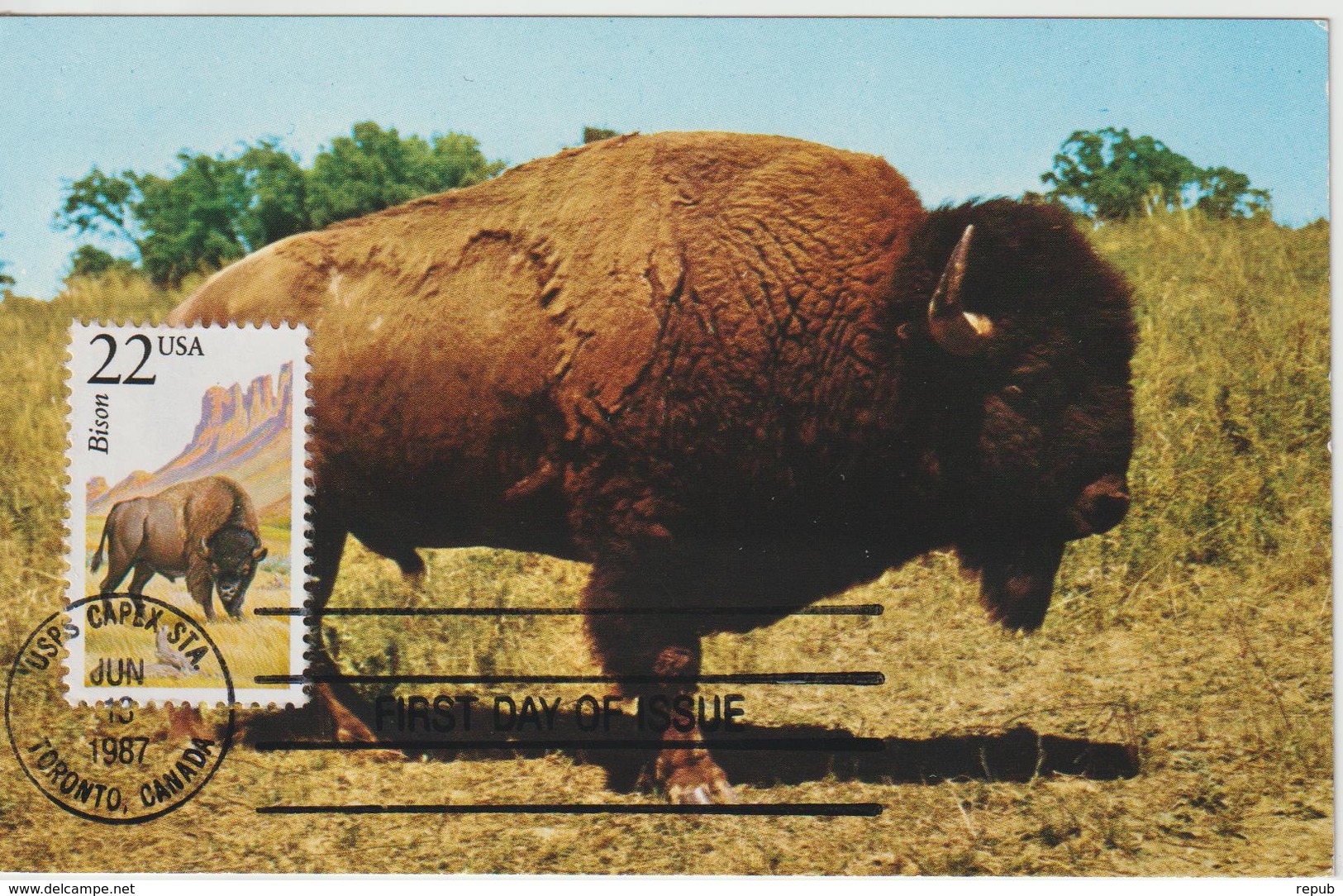 Etats-Unis Carte Maximum Animaux 1970 Bison 895 - Maximumkarten (MC)