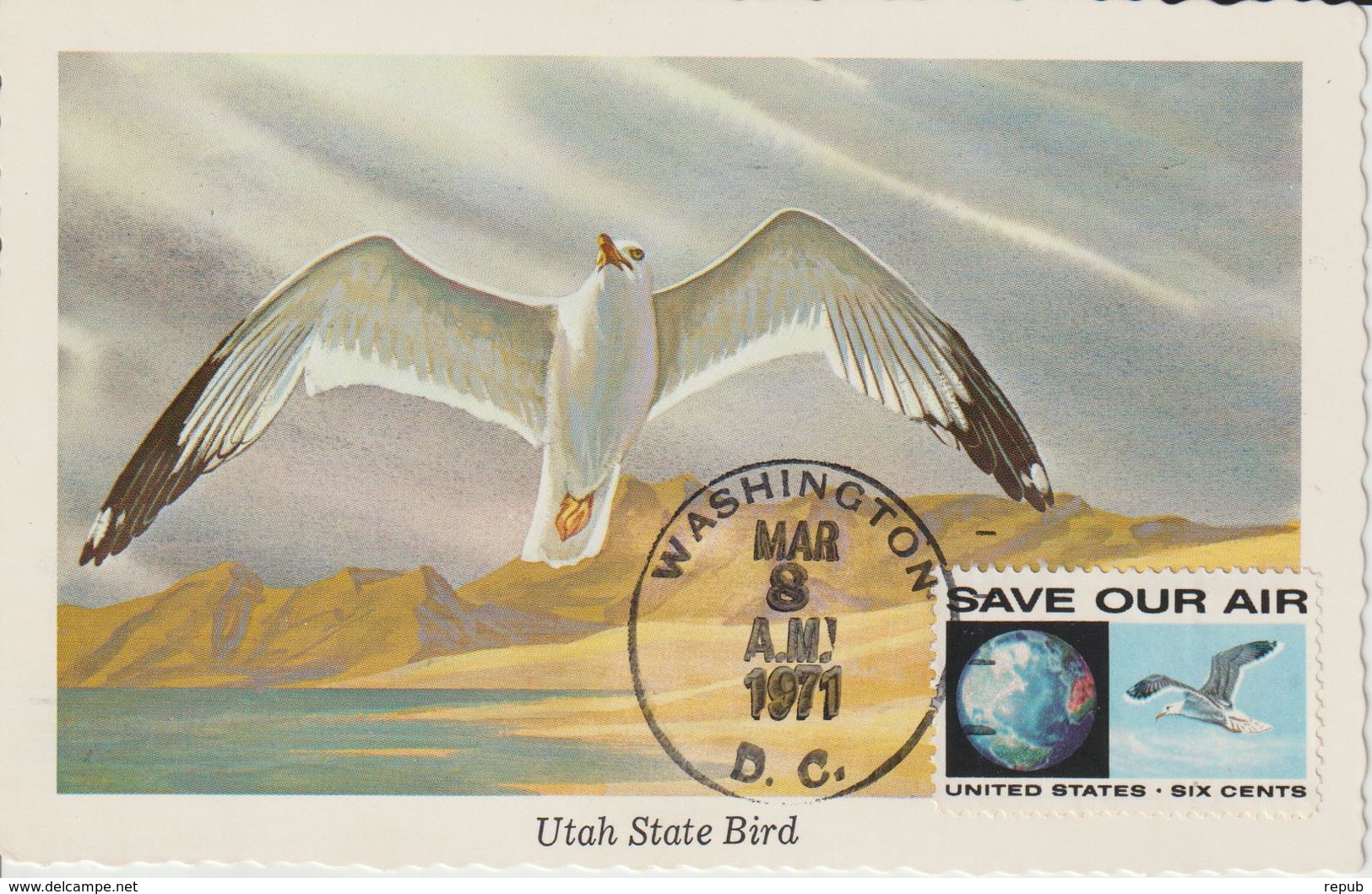 Etats-Unis Carte Maximum Oiseaux 1970 Mouette 906 - Maximumkarten (MC)