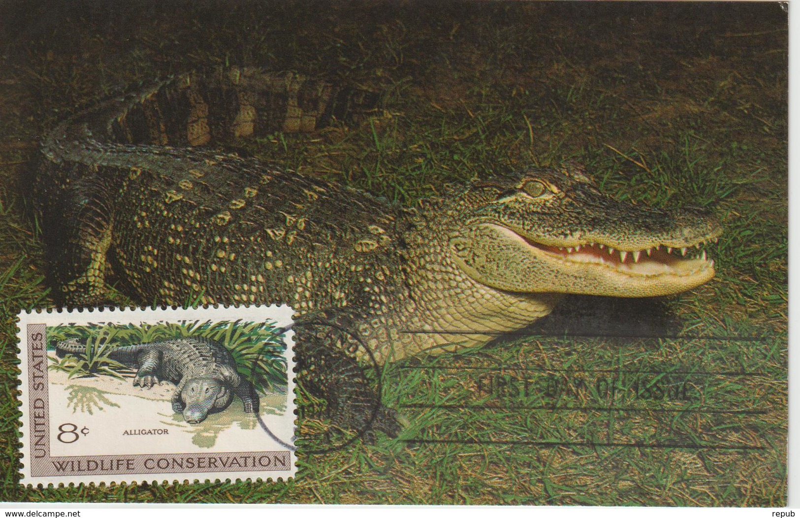 Etats-Unis Carte Maximum Animaux 1971 Alligator 928 - Maximum Cards