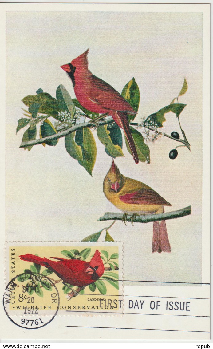 Etats-Unis Carte Maximum Oiseaux 1972 Cardinal 964 - Maximum Cards