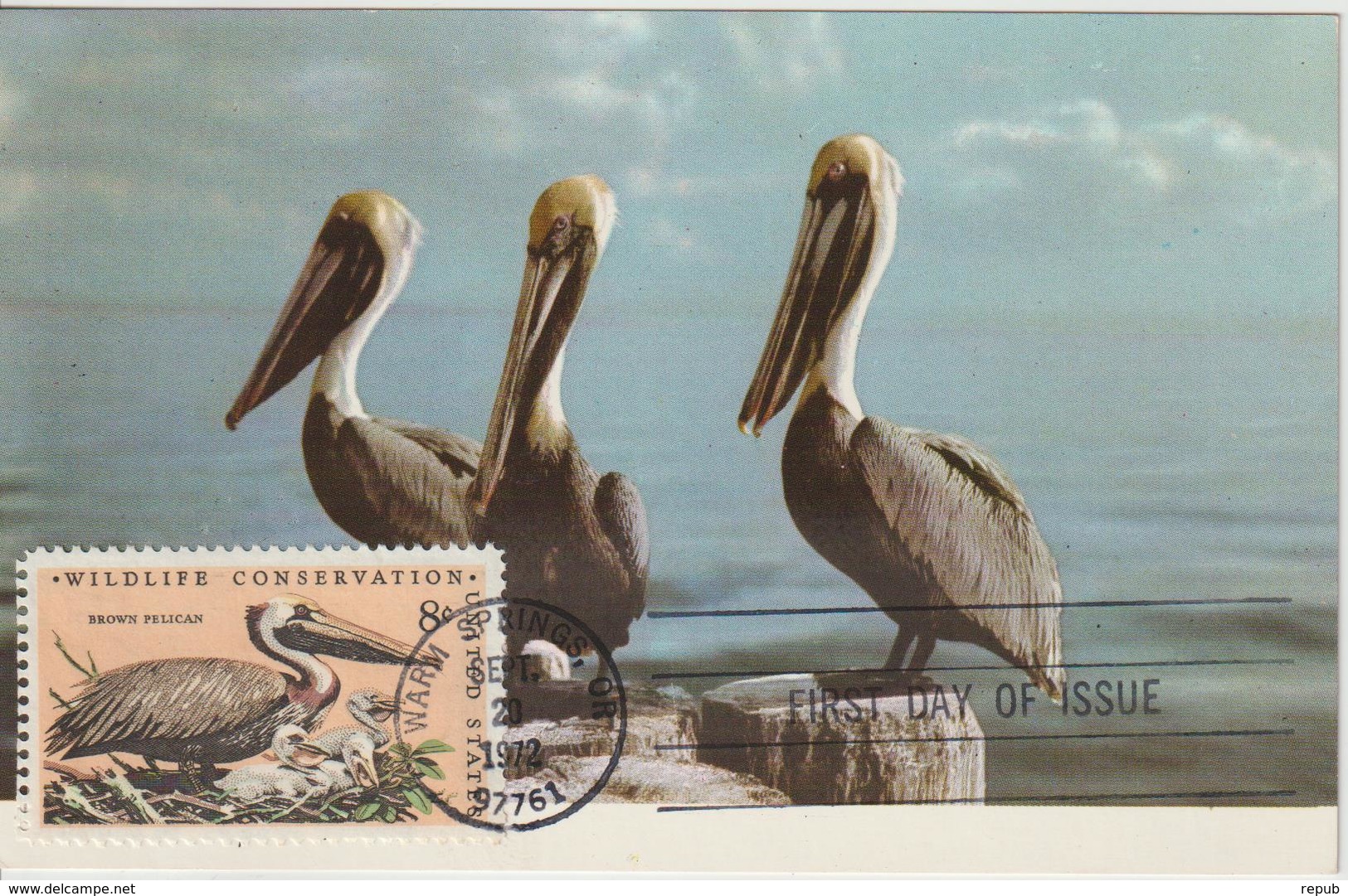 Etats-Unis Carte Maximum Oiseaux 1972 Pélican 965 - Maximumkarten (MC)