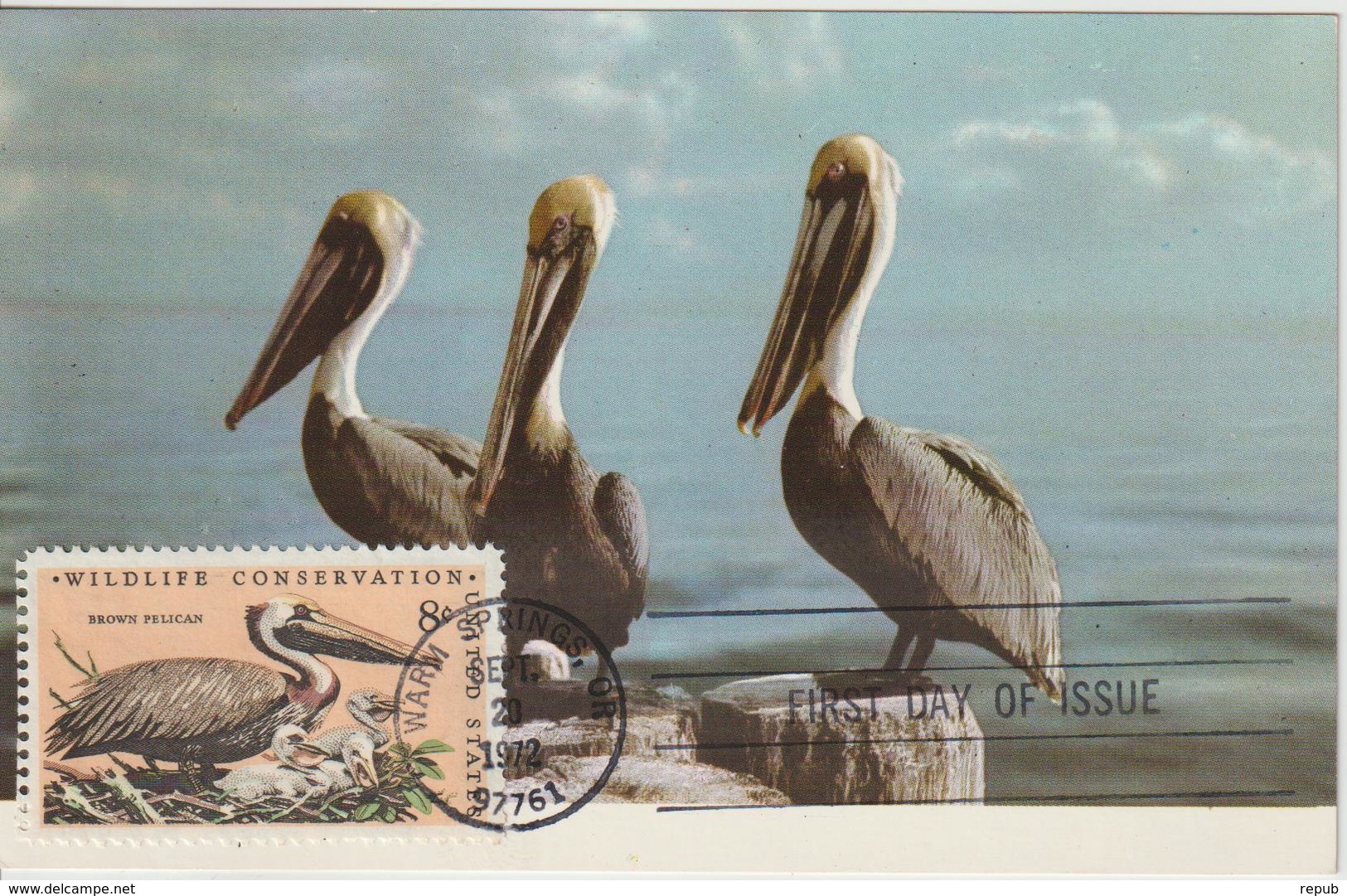 Etats-Unis Carte Maximum Oiseaux 1972 Pélican 965 - Maximum Cards