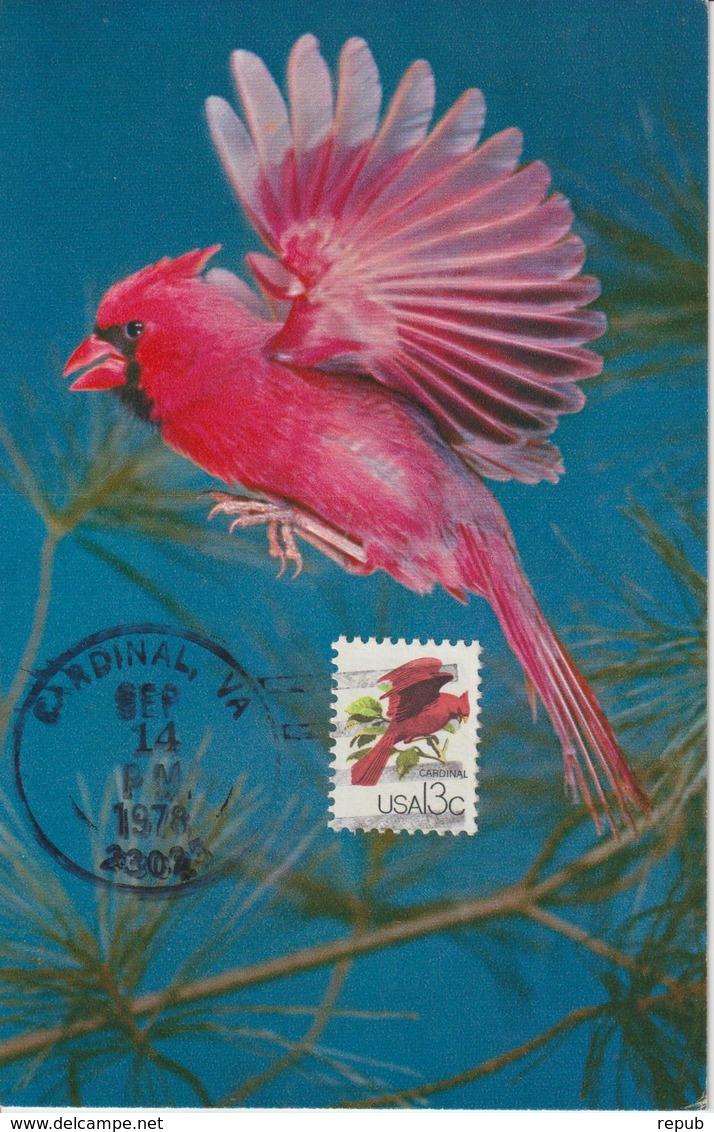 Etats-Unis Carte Maximum Oiseaux 1978 Cardinal 1206 - Maximumkarten (MC)