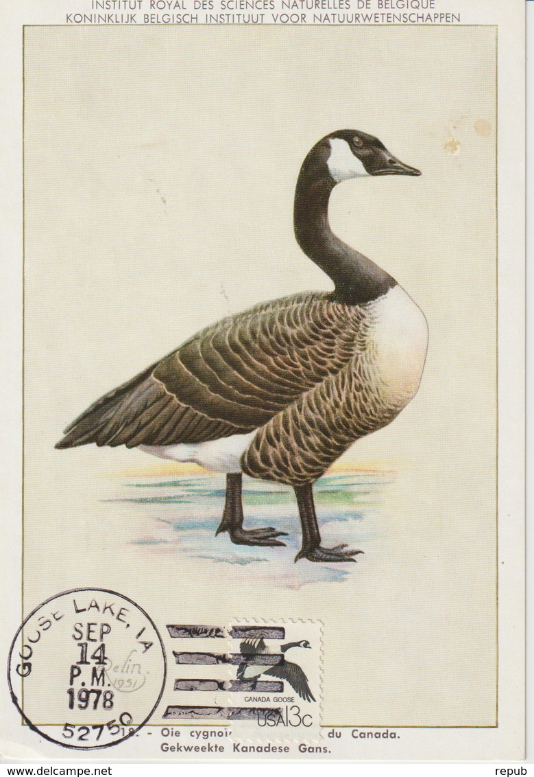 Etats-Unis Carte Maximum Oiseaux 1978 Oie 1208 - Cartas Máxima