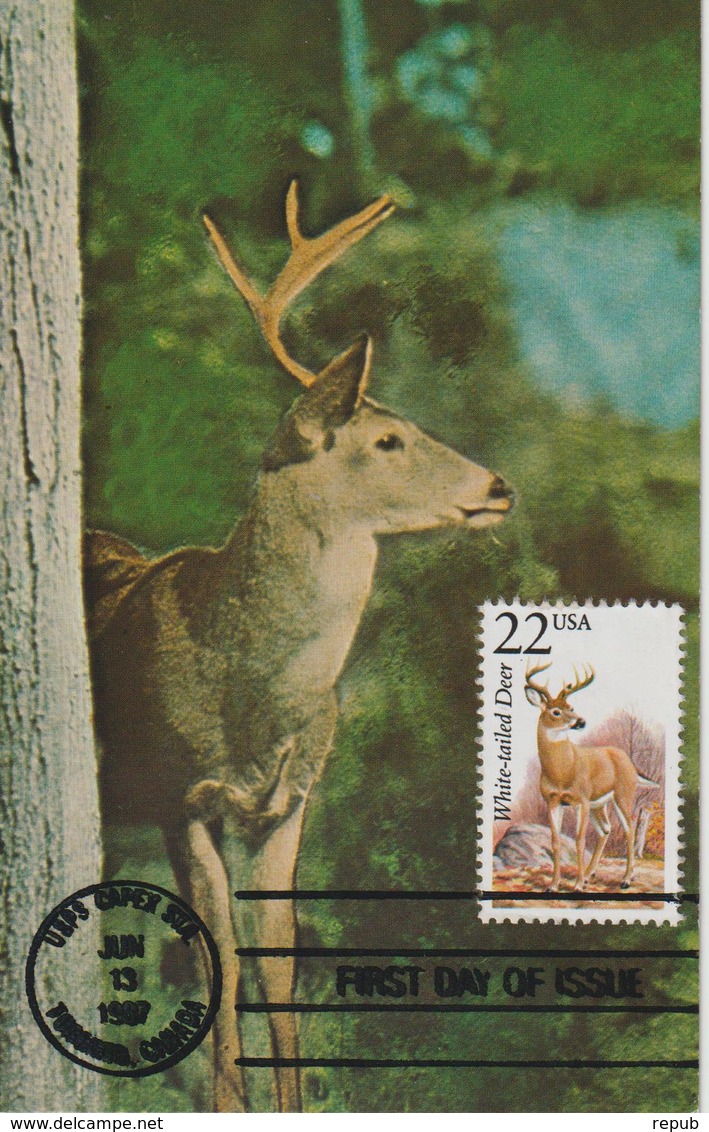 Etats-Unis Carte Maximum Animaux 1987 Cerf 1749 - Cartoline Maximum