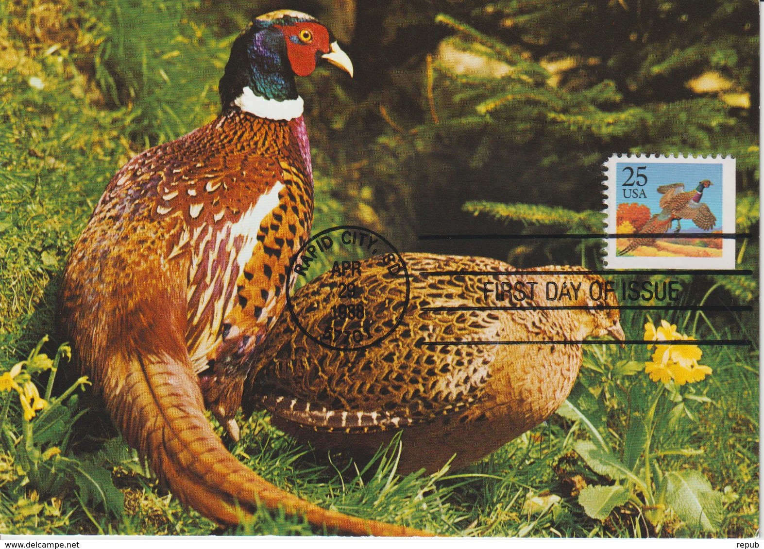 Etats-Unis Carte Maximum Oiseaux 1988 Faisan 1809 - Maximum Cards