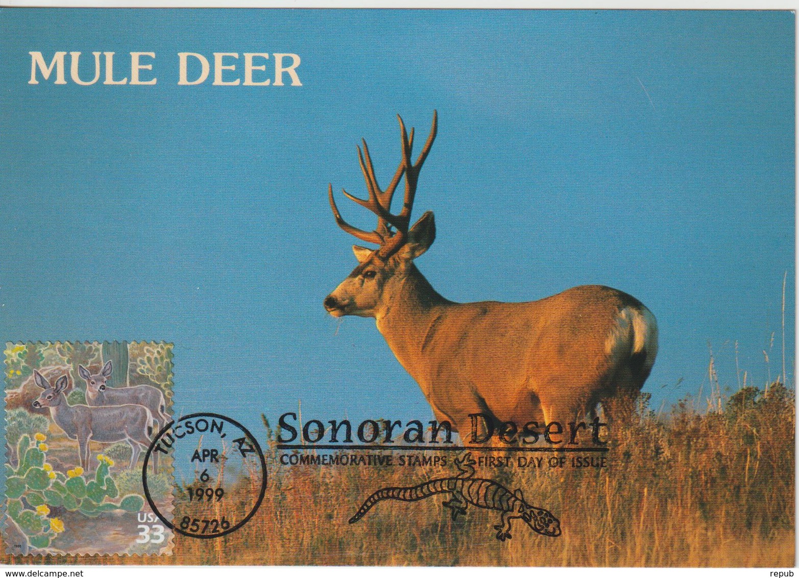 Etats-Unis Carte Maximum 1999 Désert Du Sonora - Maximum Cards
