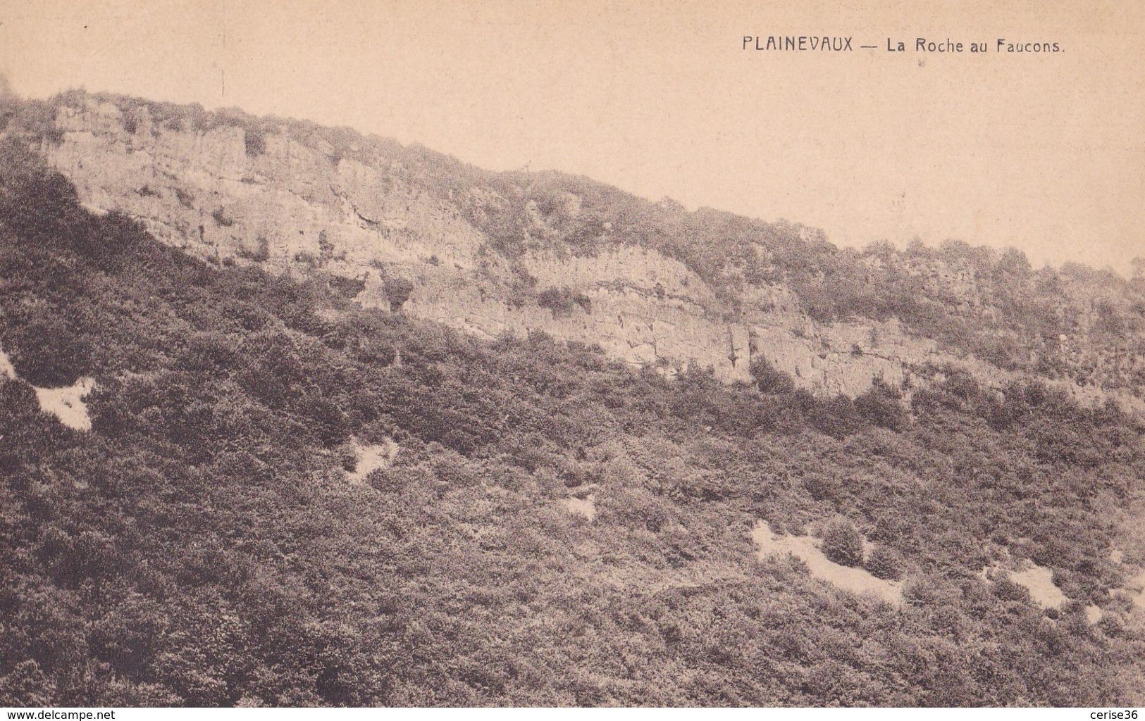 Plainevaux La Roche Au Faucons Circulée En 1923 - Neupré