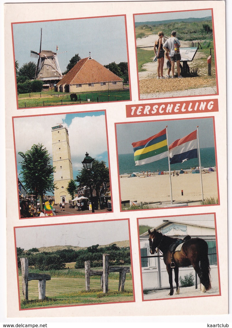 Terschelling - (Holland) - Molen, Vuurtoren, Paard, Strand - Terschelling