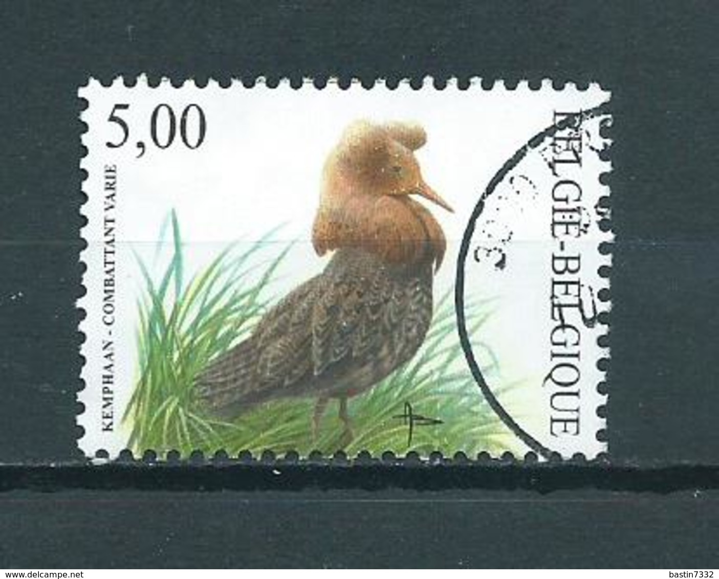 2002 Belgium Buzin,birds,oiseaux,vögel 5,00 EURO Used/gebruikt/oblitere - Gebruikt