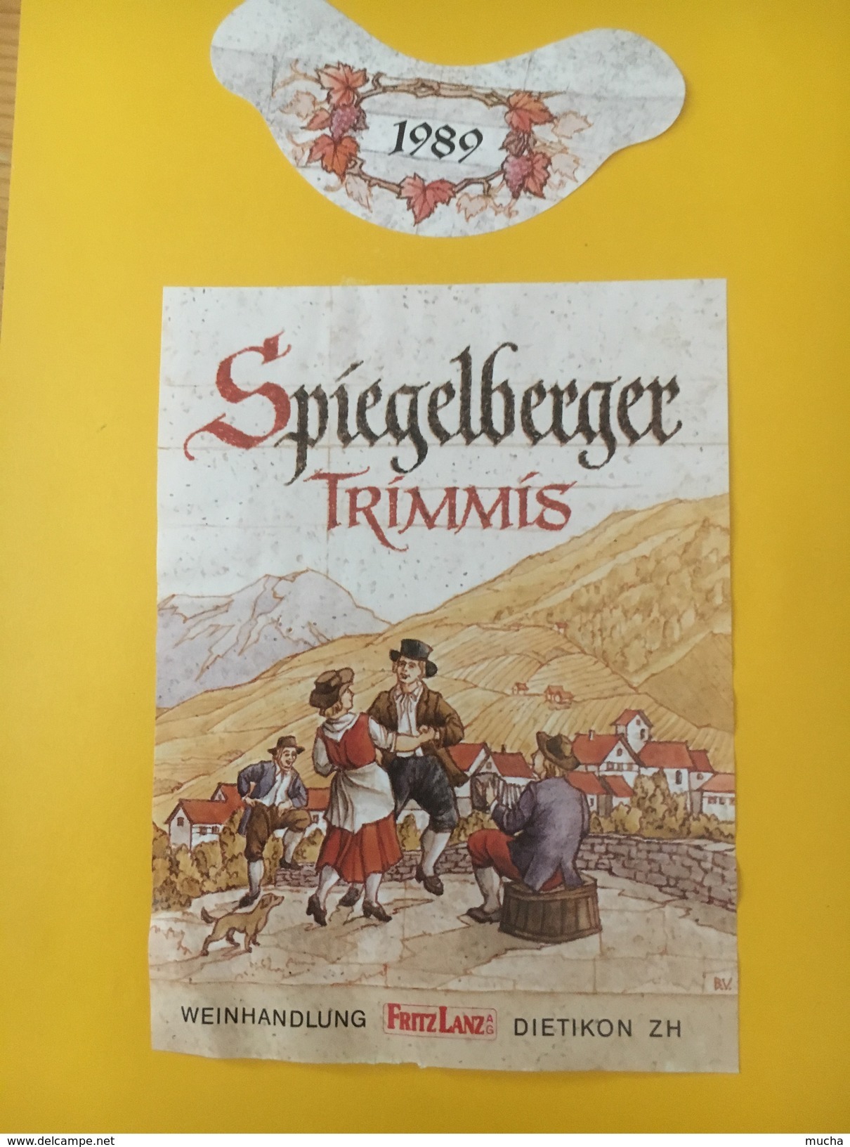 4043 - Spigelberger Trimmis 1989 Suisse - Costumes Traditionnels