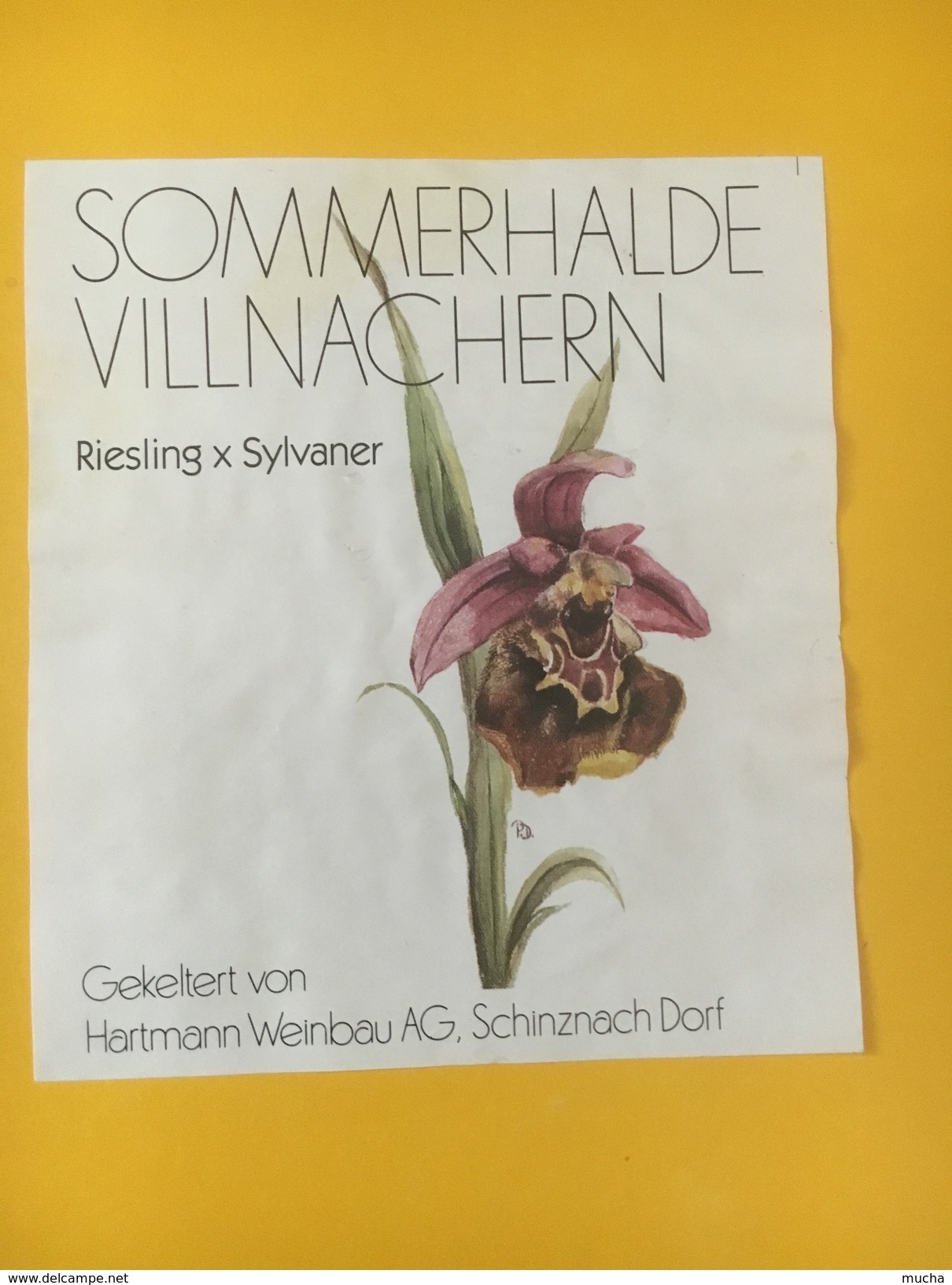 5507 -  Sommerhalde Villnachern Riesling X Sylvaner Suisse - Fiori