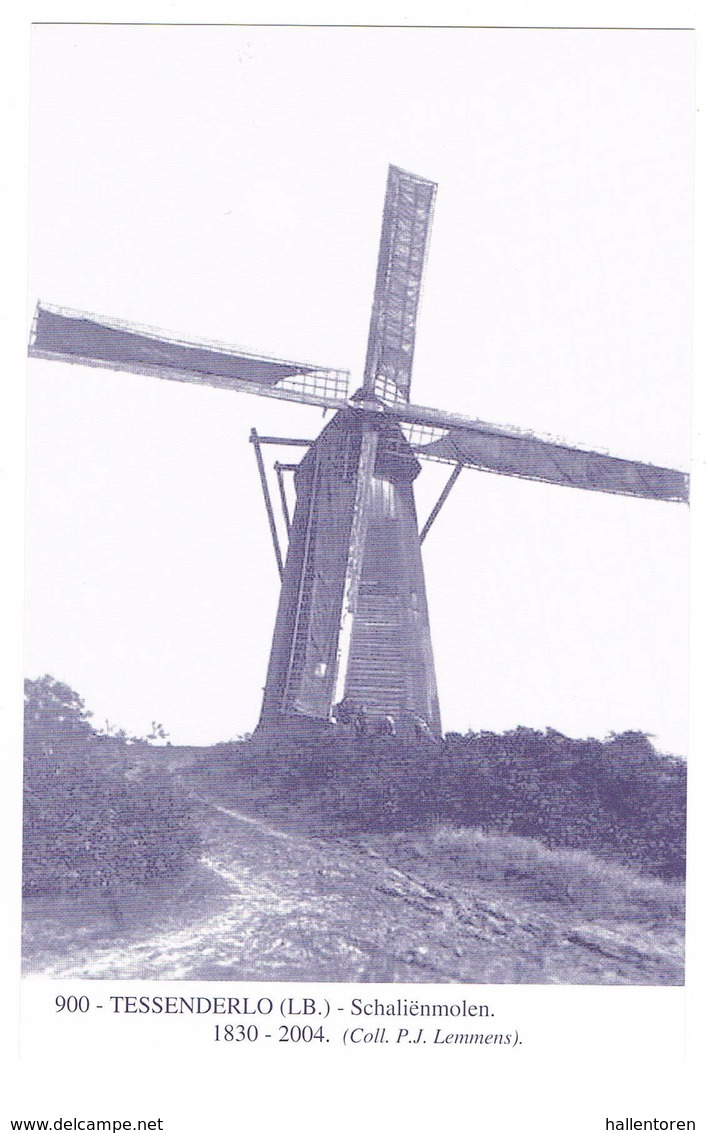 Tessenderlo: Schaliënmolen ( 2 Scans) - Tessenderlo