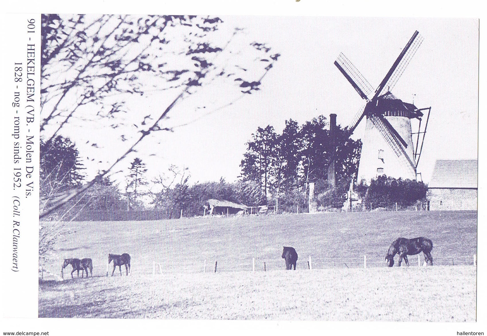 Hekelgem: Molen De Vis ( 2 Scans) - Autres & Non Classés